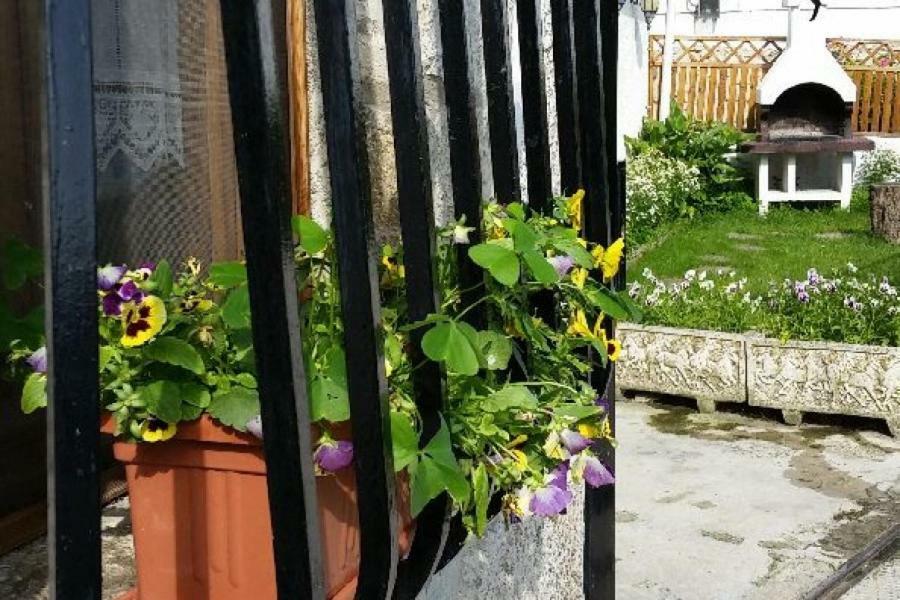 Casa Rural Zubiarena Satrustegui Luaran gambar